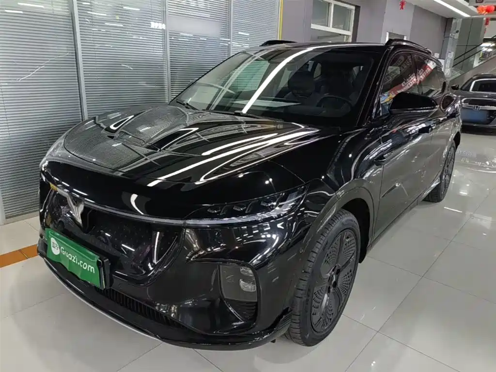 Voyah Auto Voyah Zhiyin 2024 4WD Global Edition