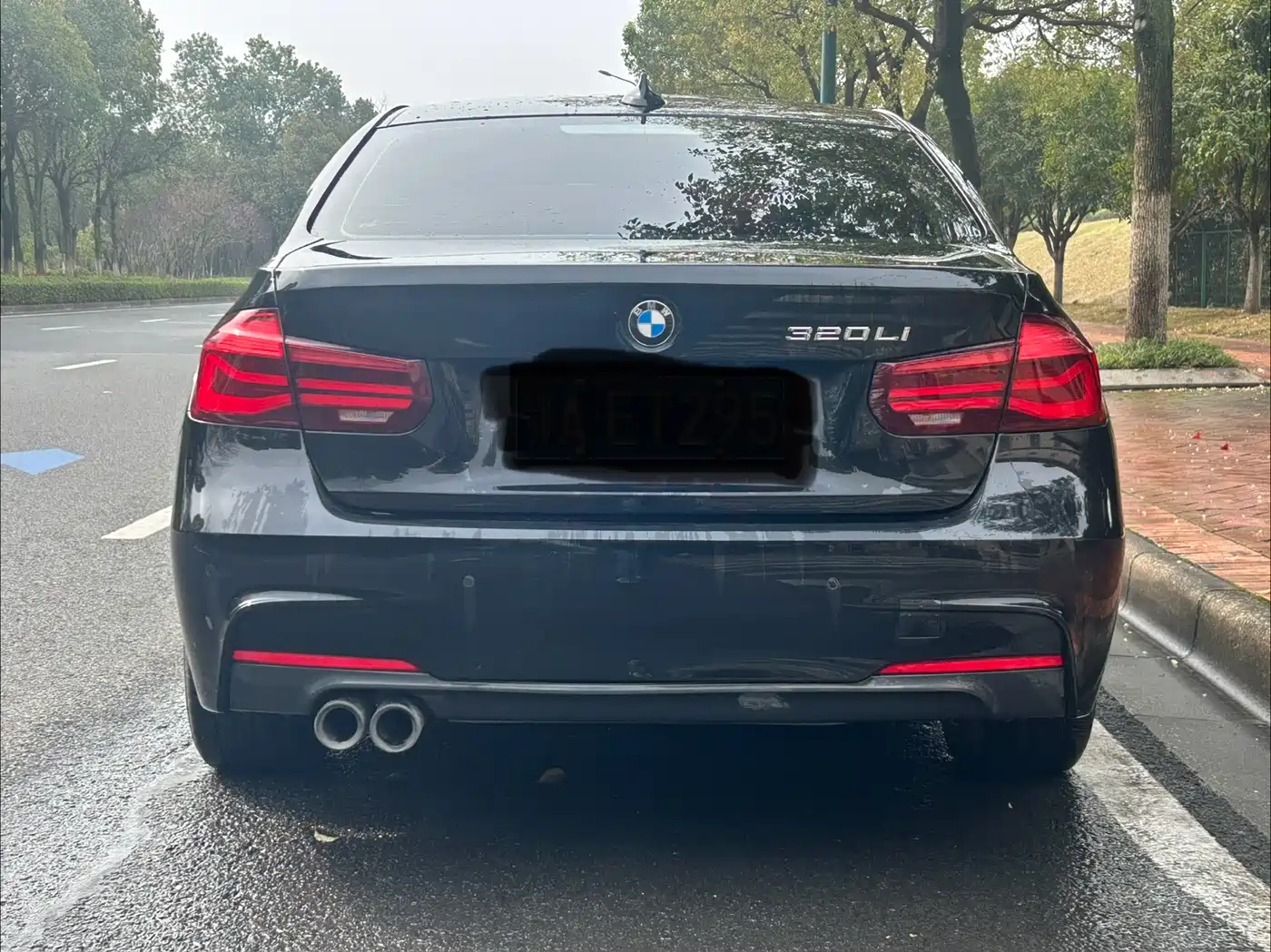BMW 3 Series 2019 320Li M Sport Black Night Edition фото 7
