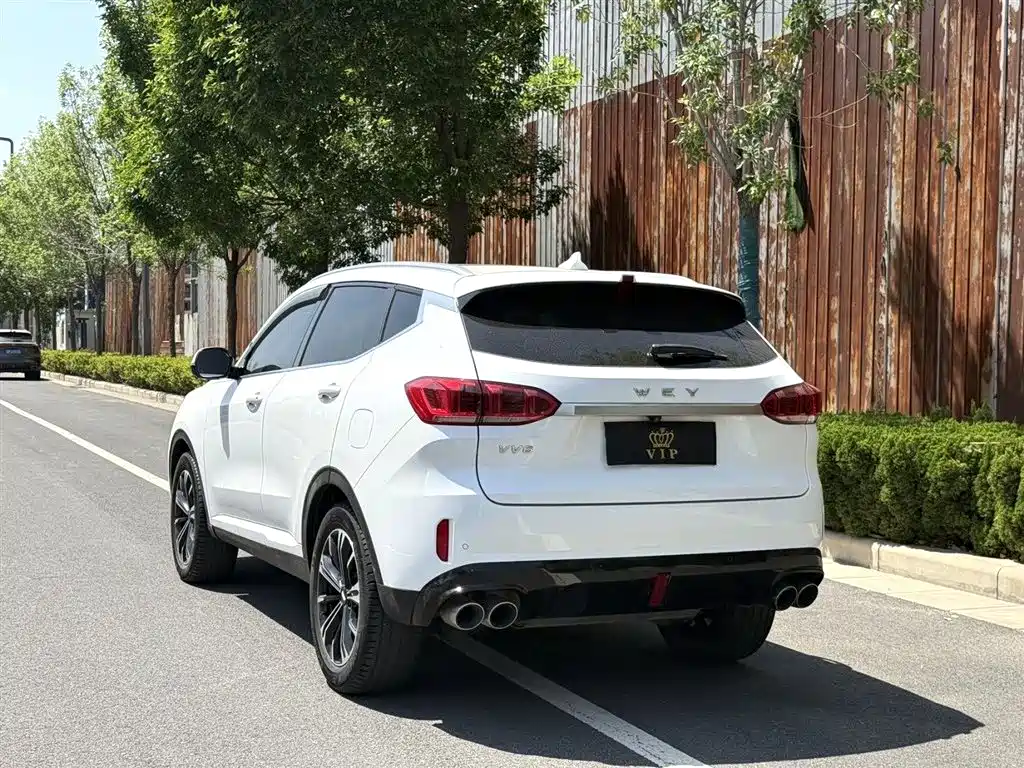 WEI PAI WEI BRAND VV6