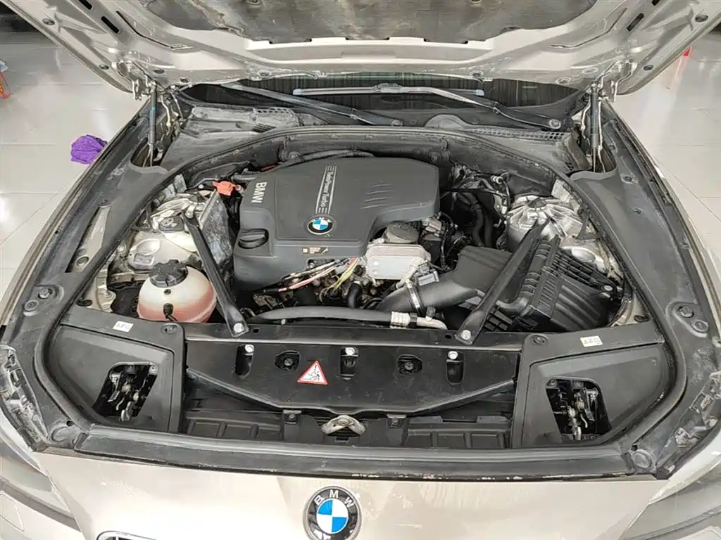 BMW 5 Series 2014 525Li Leading фото 20
