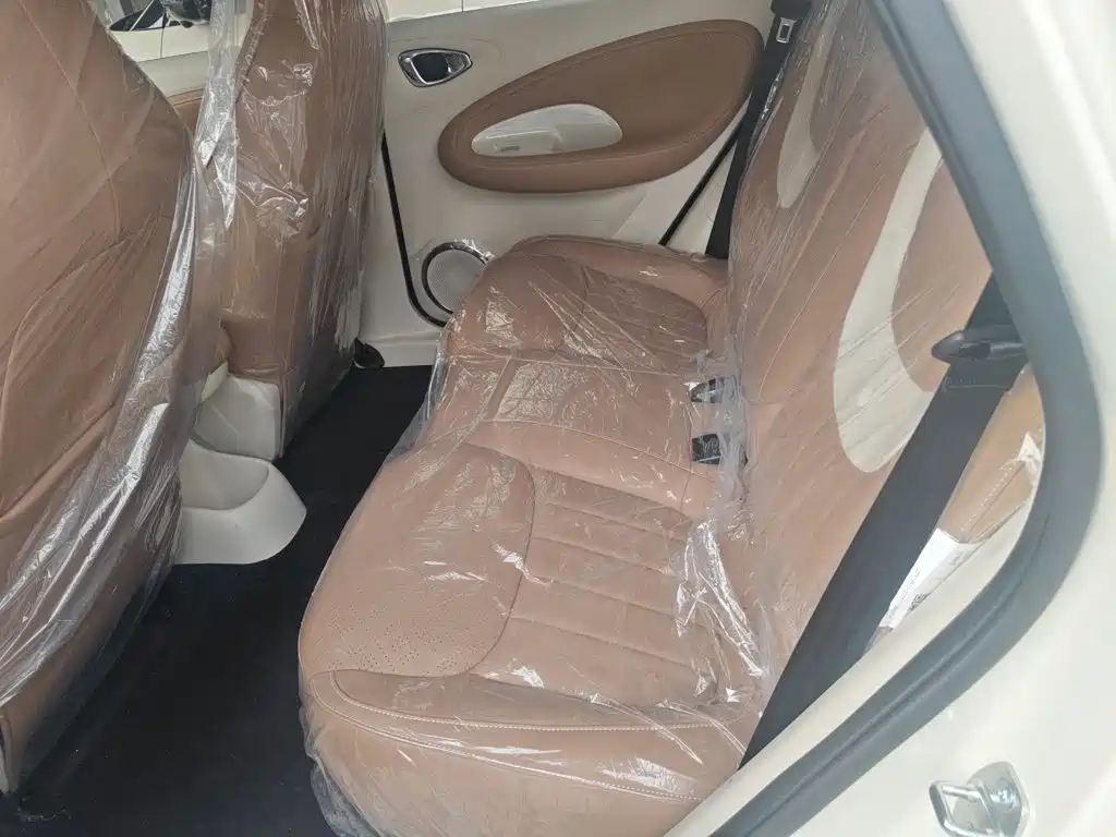 Wuling Motors Wuling Bingo 2026 2025 Model 333km Joy Edition