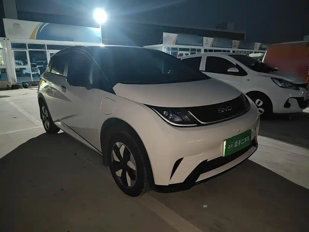 2026 BYD Dolphin