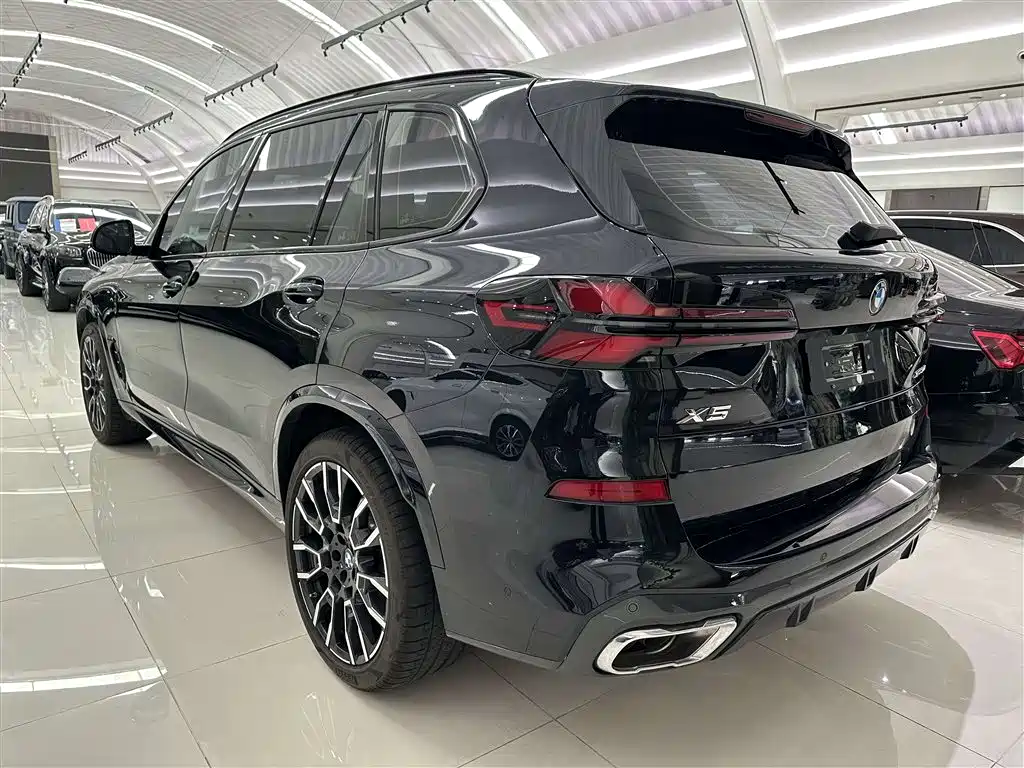 BMW X5 2023 xDrive 40Li M Sport Black Night Package фото 19
