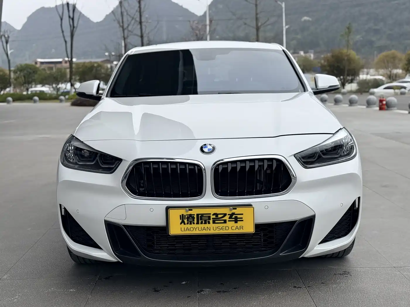 BMW X2 2021 sDrive25i Leading M Sport Package фото 2