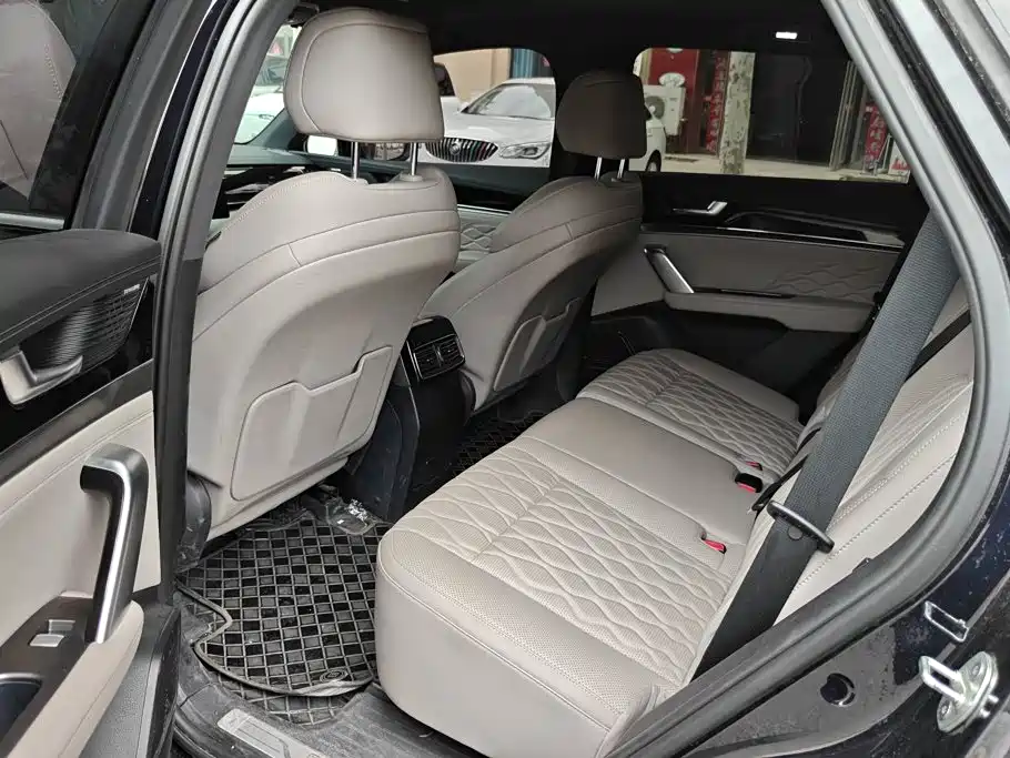 BYD Tang New Energy 2025 2025 Smart Driving Edition DM-i 115KM Honor