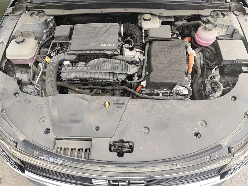 BYD Destroyer 05 2023 Champion Edition DM-i 55KM Luxury фото 17