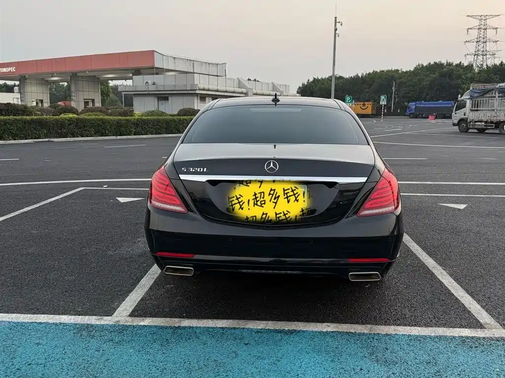 Mercedes-Benz S-Class 2014 S 320 L Luxury фото 5