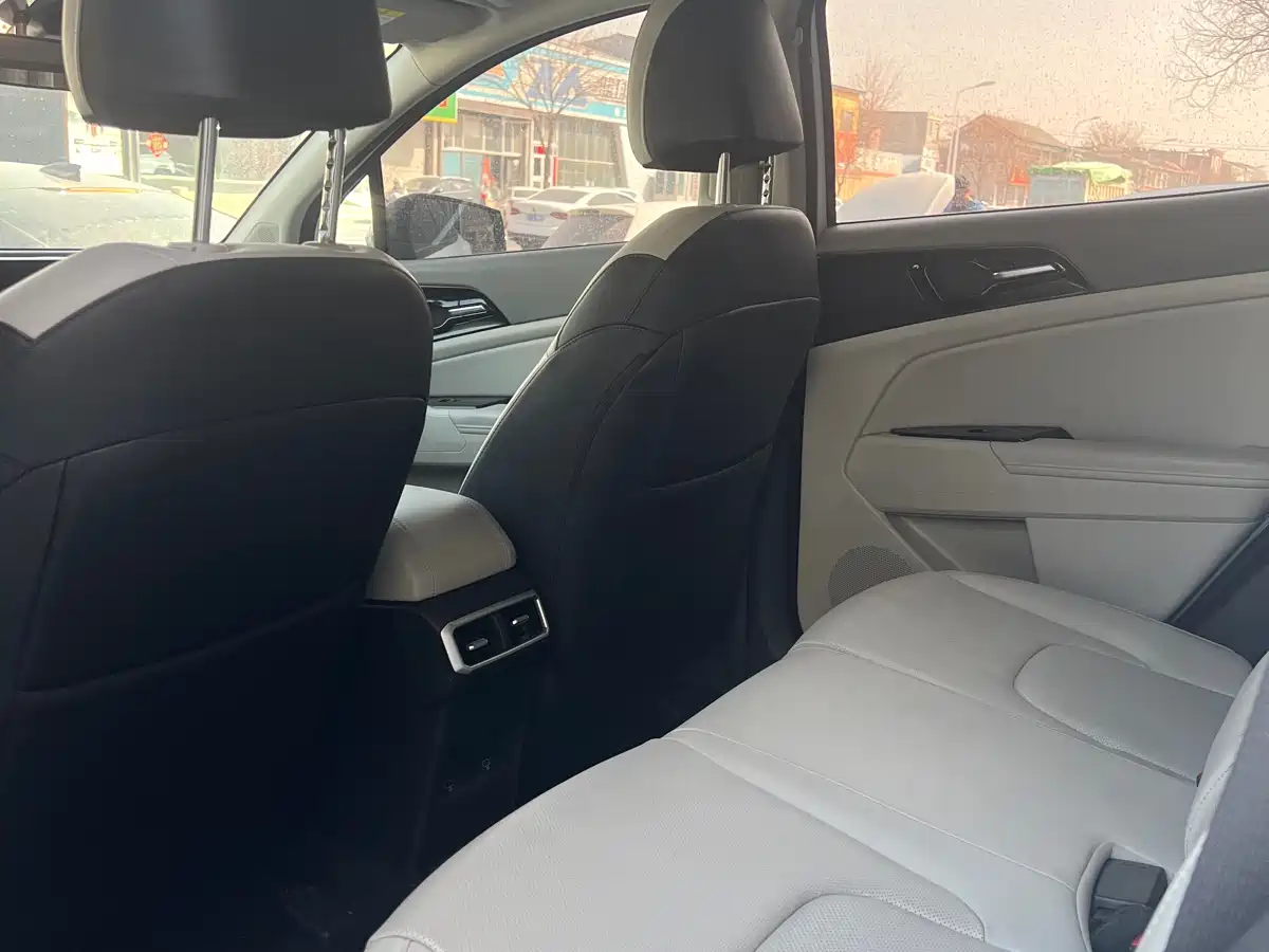 KIA LION PLATINUM EXPANDS THE WORLD