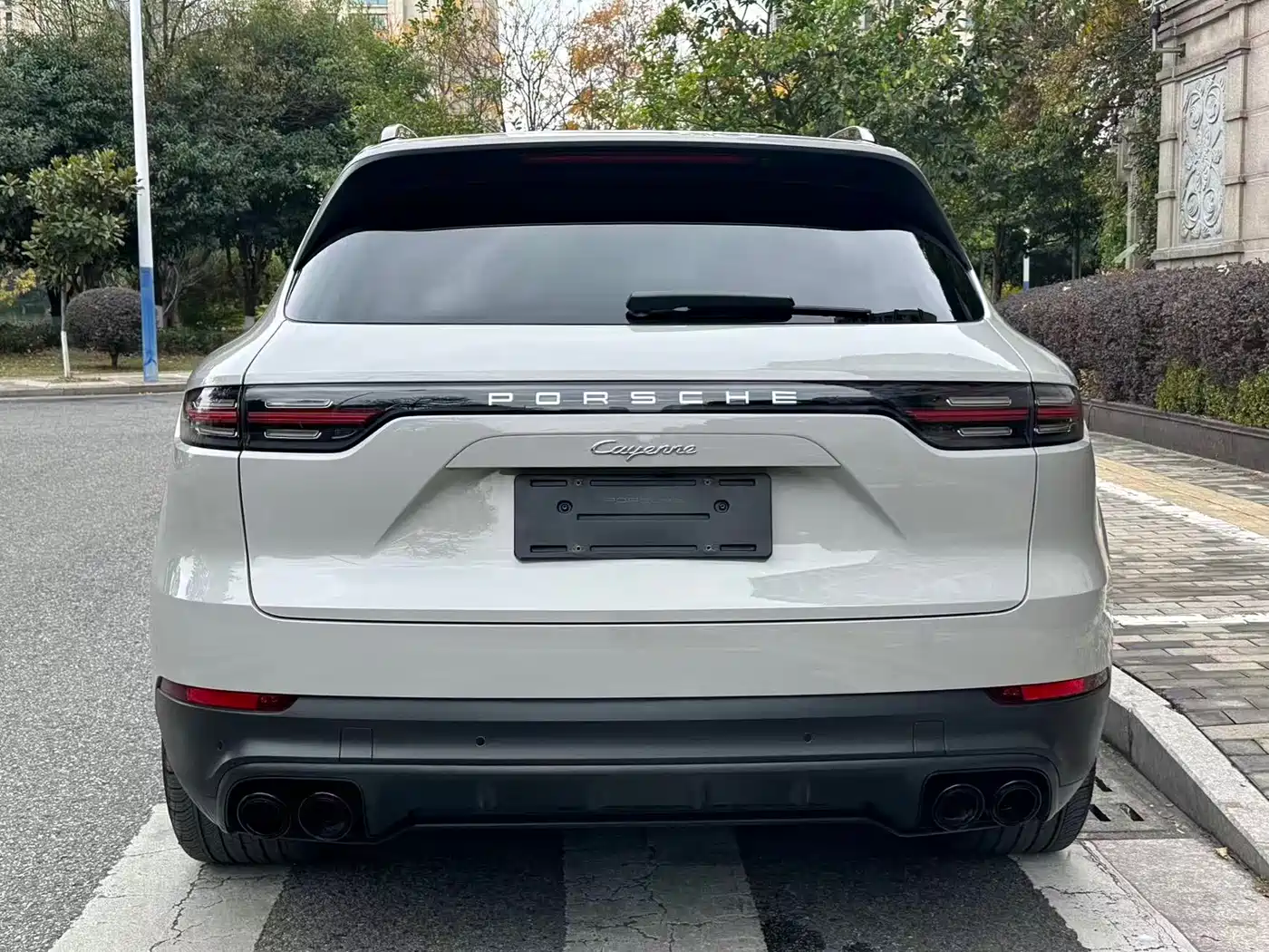 Porsche Cayenne 2022 Cayenne 3.0T Platinum Edition фото 16