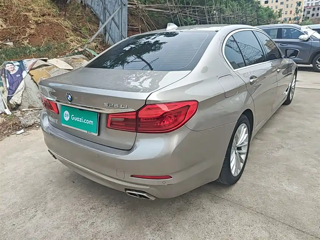BMW 5 Series 2020 525Li Luxury Package фото 7