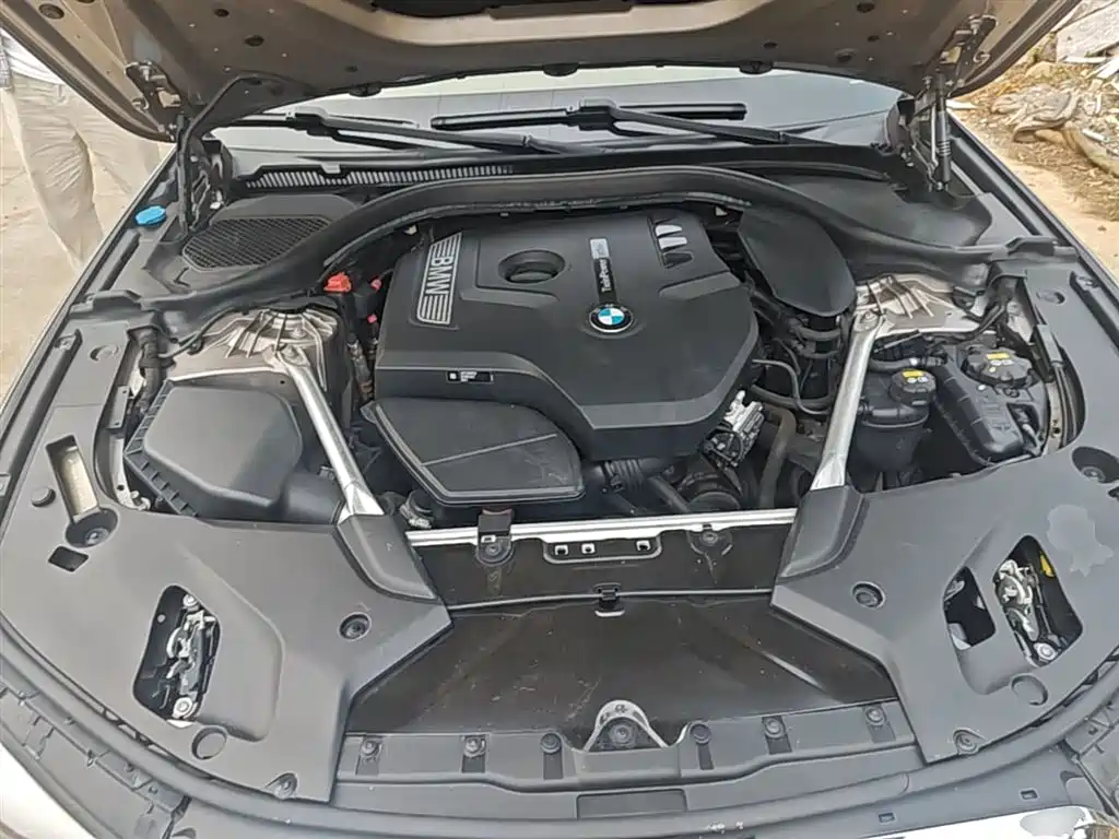 BMW 5 Series 2020 525Li Luxury Package фото 20