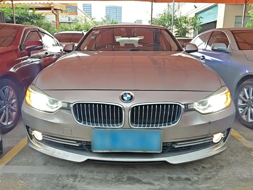 BMW 3 Series 2015 320Li Super Joy Luxury Design Package фото 3