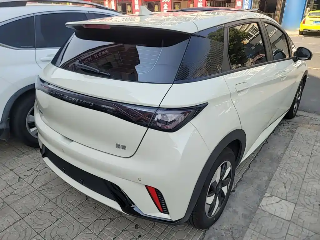 Фото 7 - BYD Dolphin