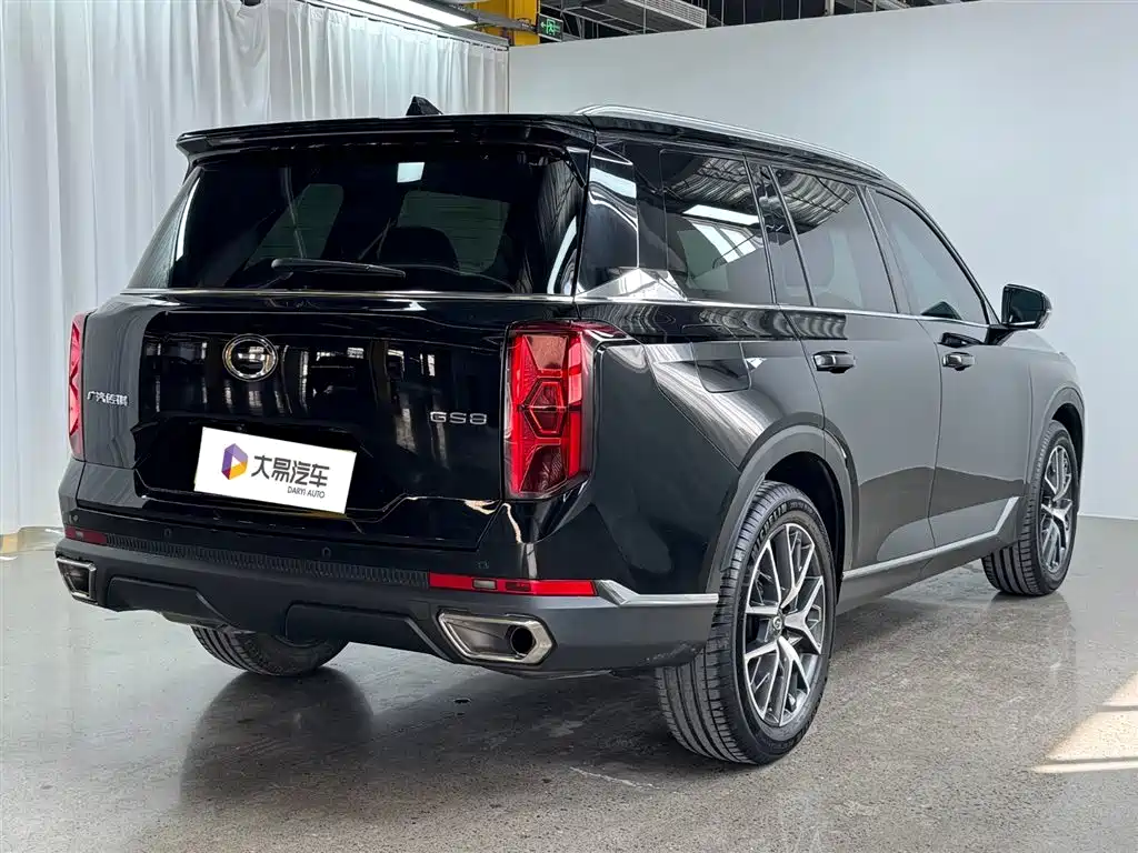 GAC Trumpchi Trumpchi GS8 2025 Pilot Series 2.0TGDI 2WD Luxury Edition 5-seater фото 3