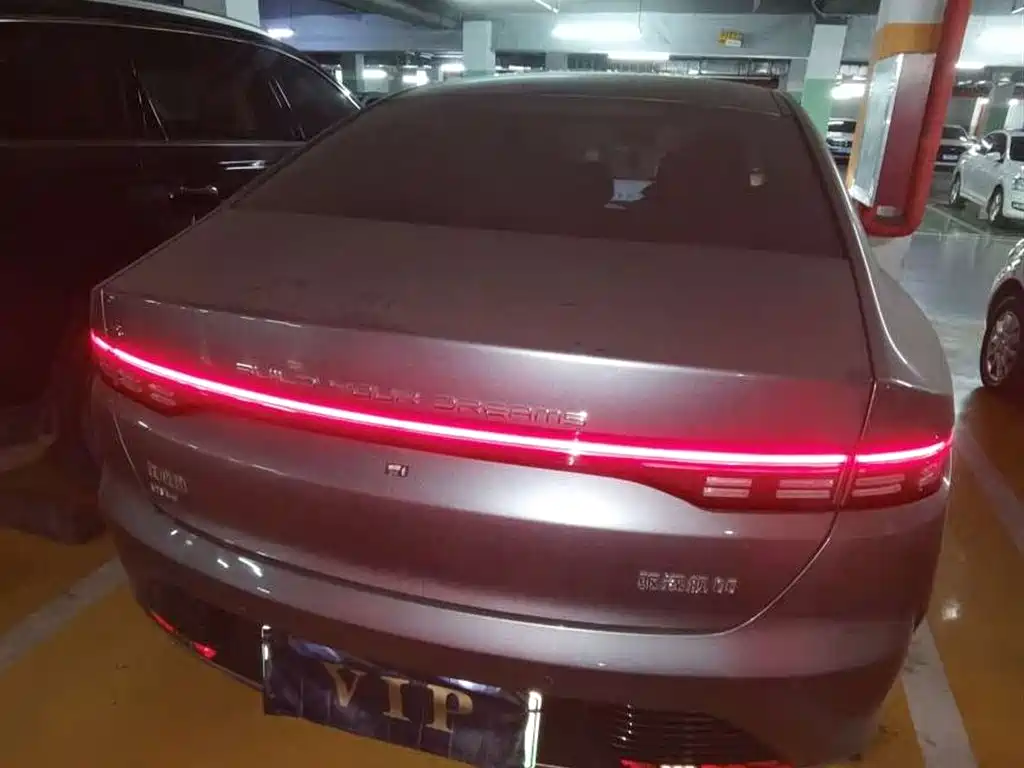 BYD Destroyer 05 2024 Glory Edition DM-i 55KM Luxury фото 11