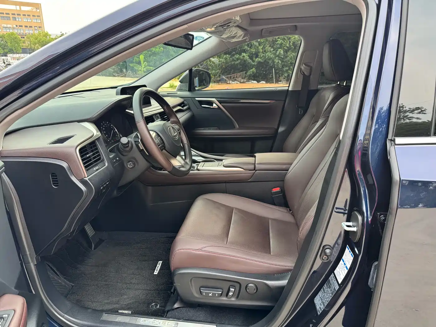 Lexus RX 2020 Facelift 300 AWD Elegance Edition фото 3
