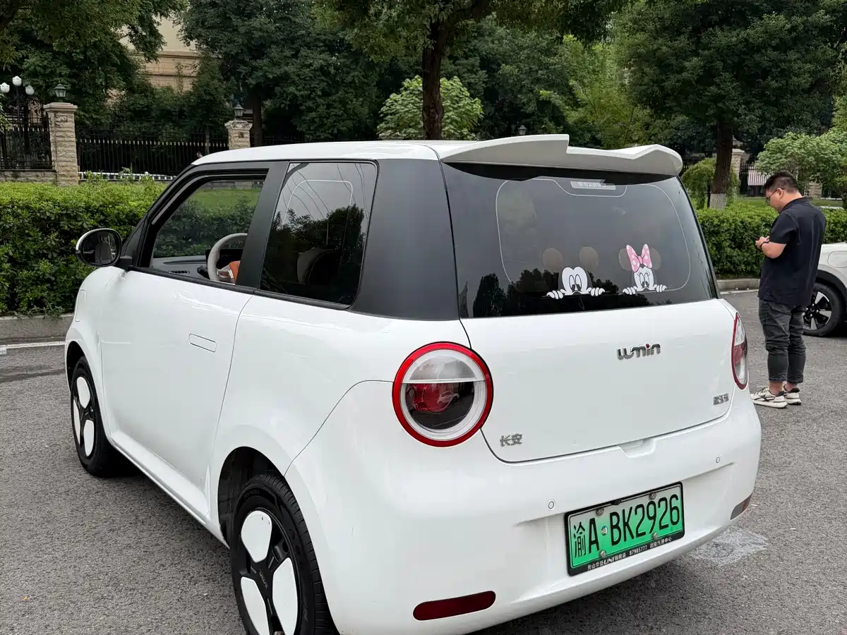 Photo 6 - Changan Lumin