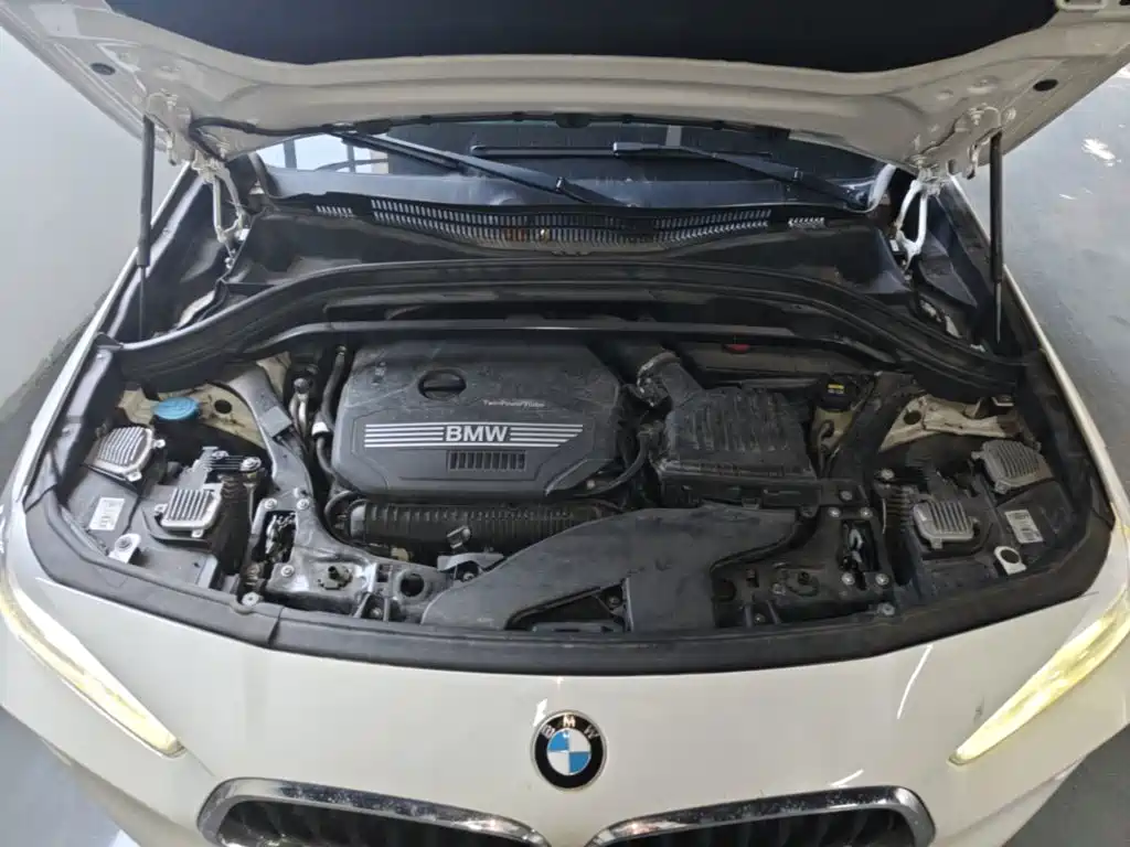 BMW X2 (Import) 2019 2019 sDrive25i Leading M Off-Road Package China VI
