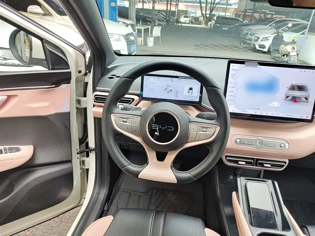 BYD Seagull 2025 Smart Drive Edition 305km Freedom Version фото 11