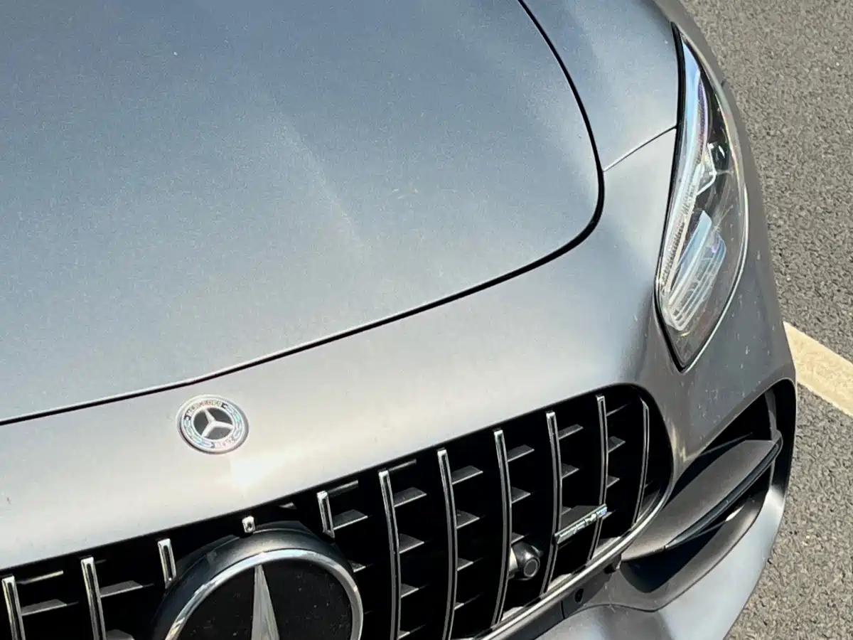 Mercedes-Benz AMG GT 2019 AMG GT фото 16