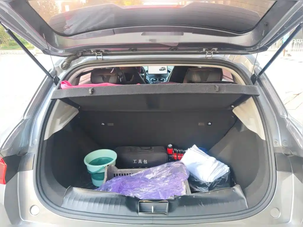 BYD e2 2024 2023 Luxury Model