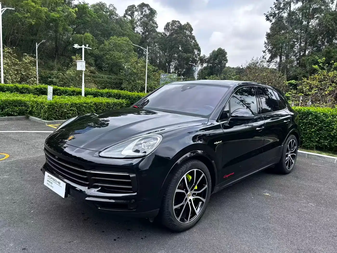 PORSCHE CAYENNE NEW ENERGY