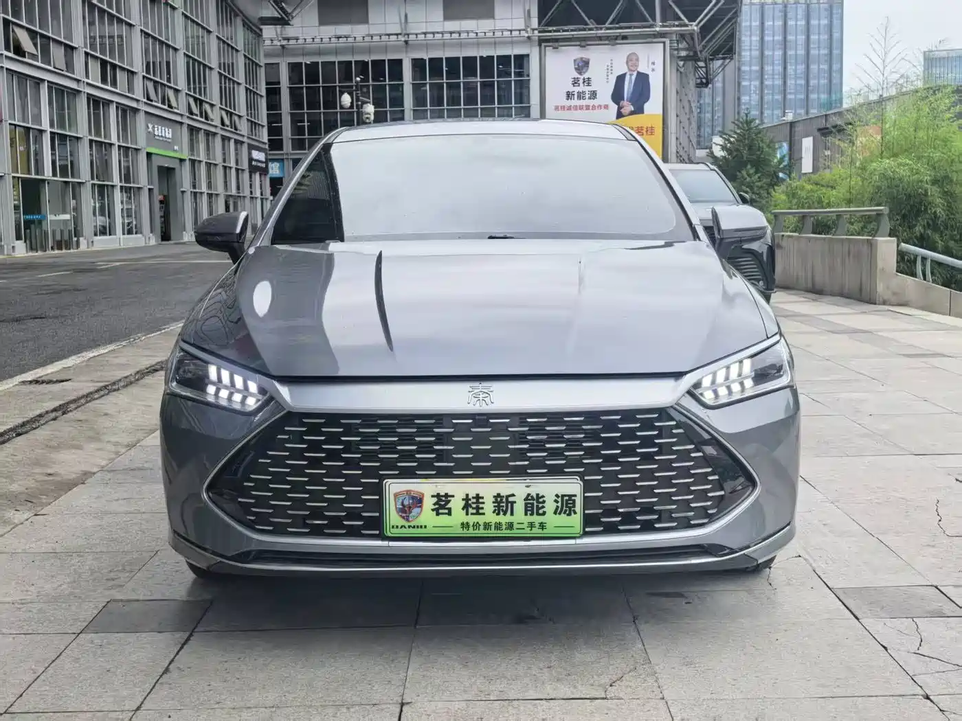 BYD Qin PLUS 2024 Glory Edition DM-i 55KM Leading фото 2