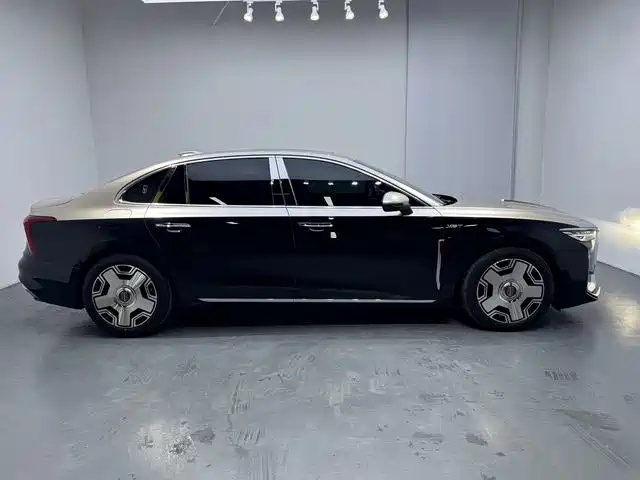 Фото 7 - Hongqi H5