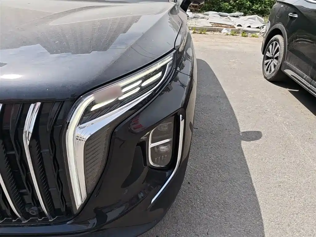 Hongqi HS7 PHEV 2024 2.0T PHEV 4WD Flagship Edition 6-seater фото 24