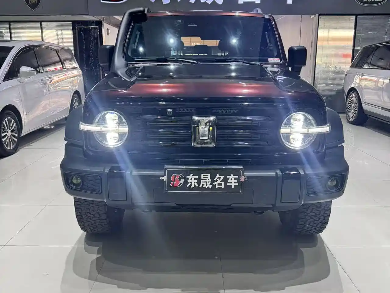 Tank 300 2023 Off-Road Edition 2.0T Conqueror фото 2