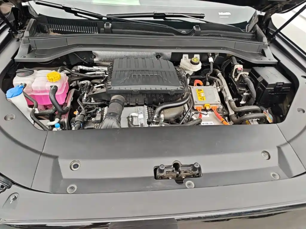 Фото 20 - Chery Fengyun Fengyun T9