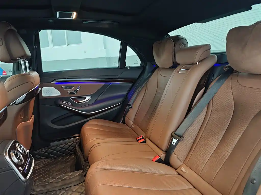 Mercedes-Benz S-Class 2020 S 350 L Premium Edition Collector's Version фото 18