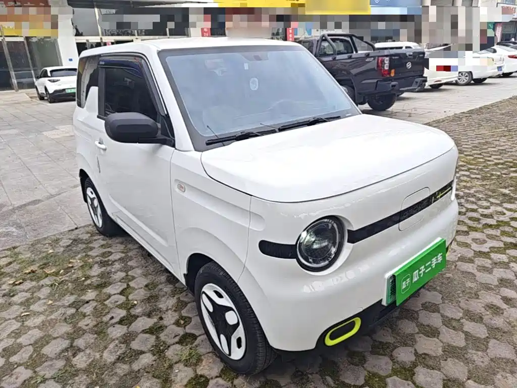 Geely Galaxy Panda 2025 2025 Panda mini 210km Vitality Bear