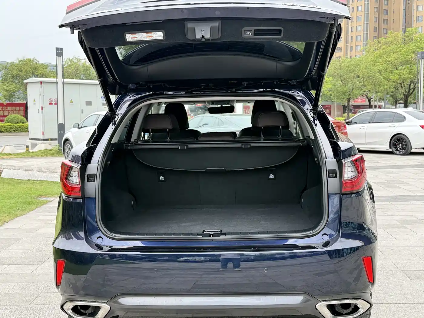 Lexus RX 2016 300 4WD Elegance Edition (China V) фото 19