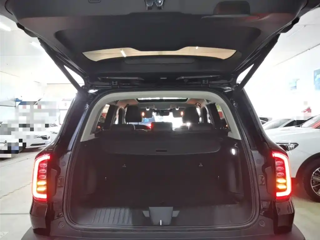 Haval Big Dog 2022 1.5T DCT FWD Border Collie Edition фото 19