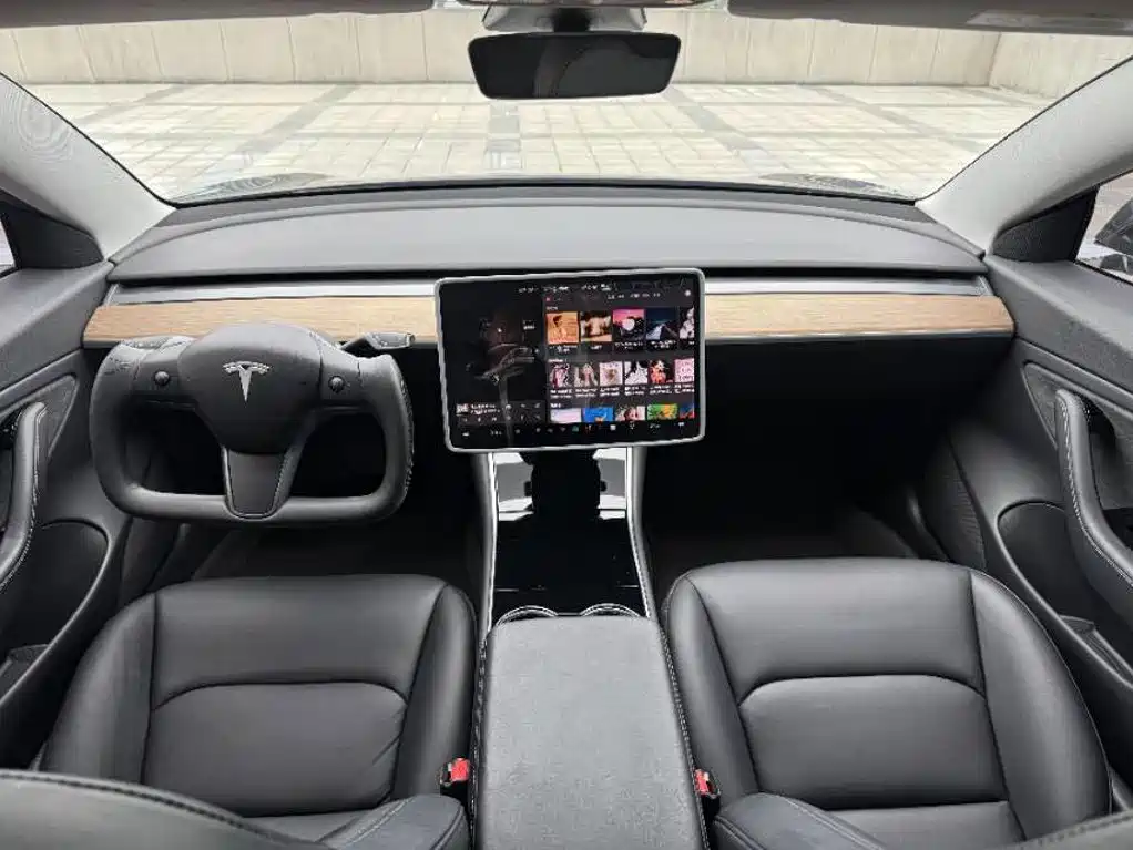 Tesla Model 3 (Import) 2019 2019 Long Range All-Wheel Drive Edition