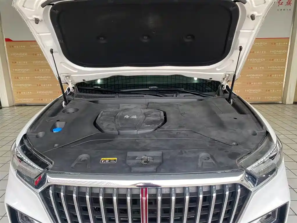 Hongqi HS5 2019 2.0T Smart Connect Enjoy Edition фото 18