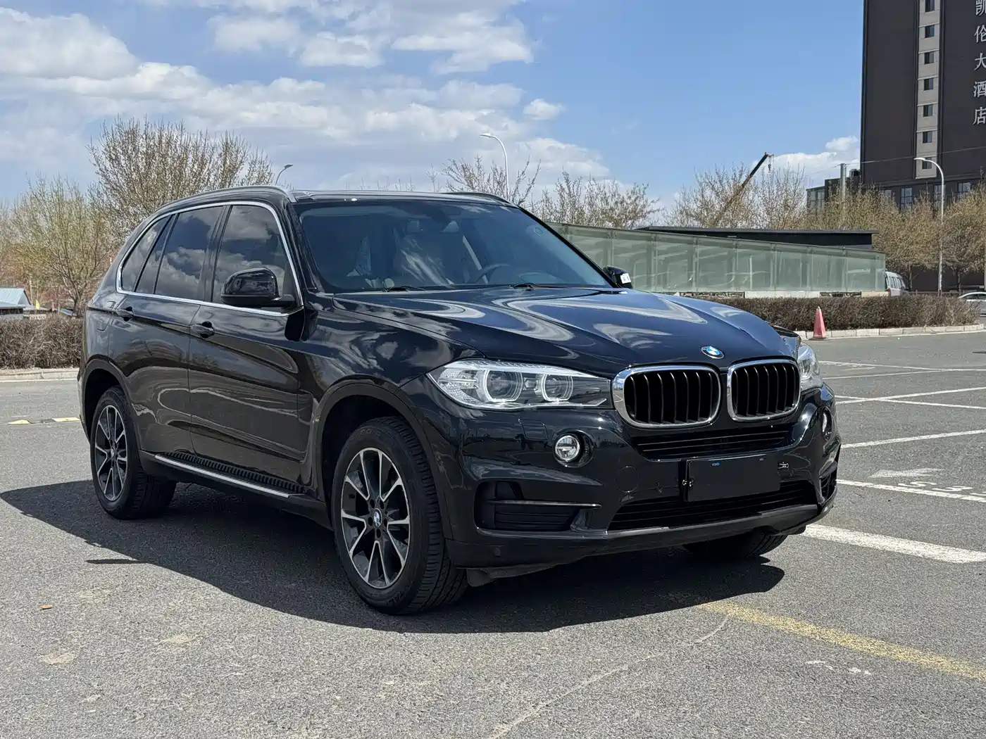 BMW X5 (Import) 2014 xDrive35i Luxury фото 3