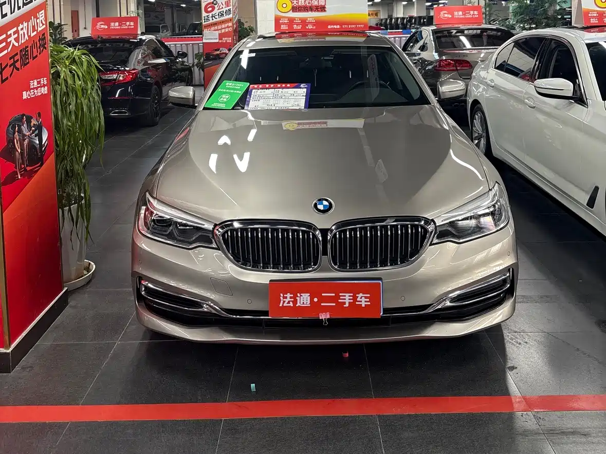 BMW 5 Series 2020 530Li xDrive Luxury Package фото 2