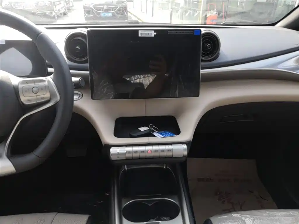 BYD Dolphin 2025 420km Freedom Edition фото 13