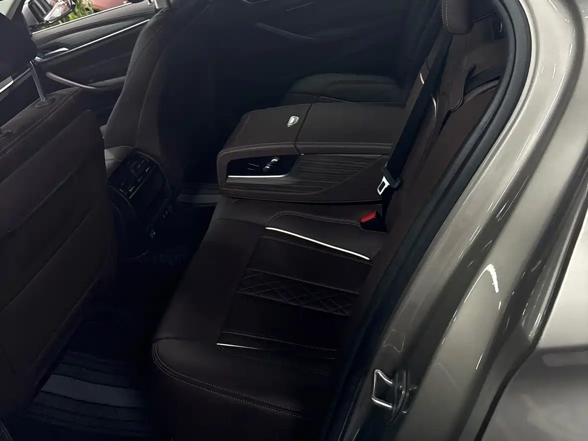 BMW 5 Series 2020 530Li xDrive Luxury Package фото 11