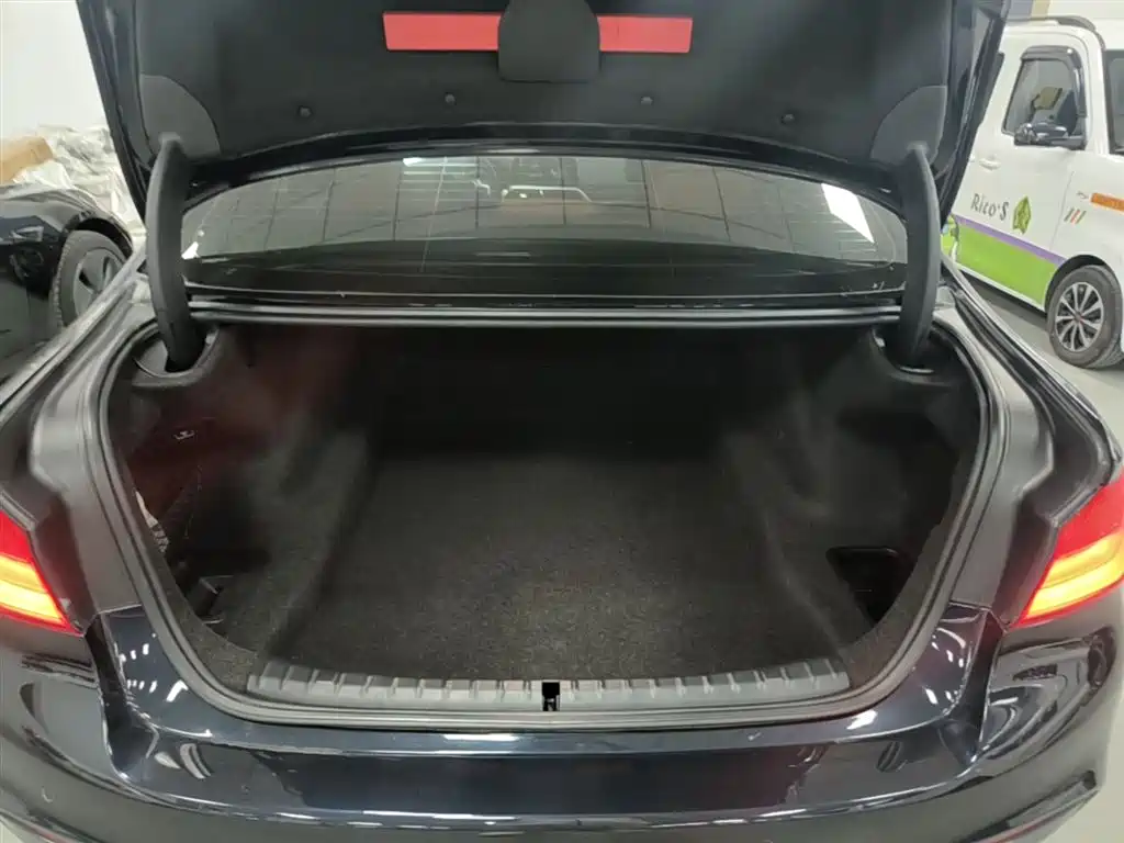 BMW 5 Series 2018 Facelift 530Li Leading M Sport Package фото 19