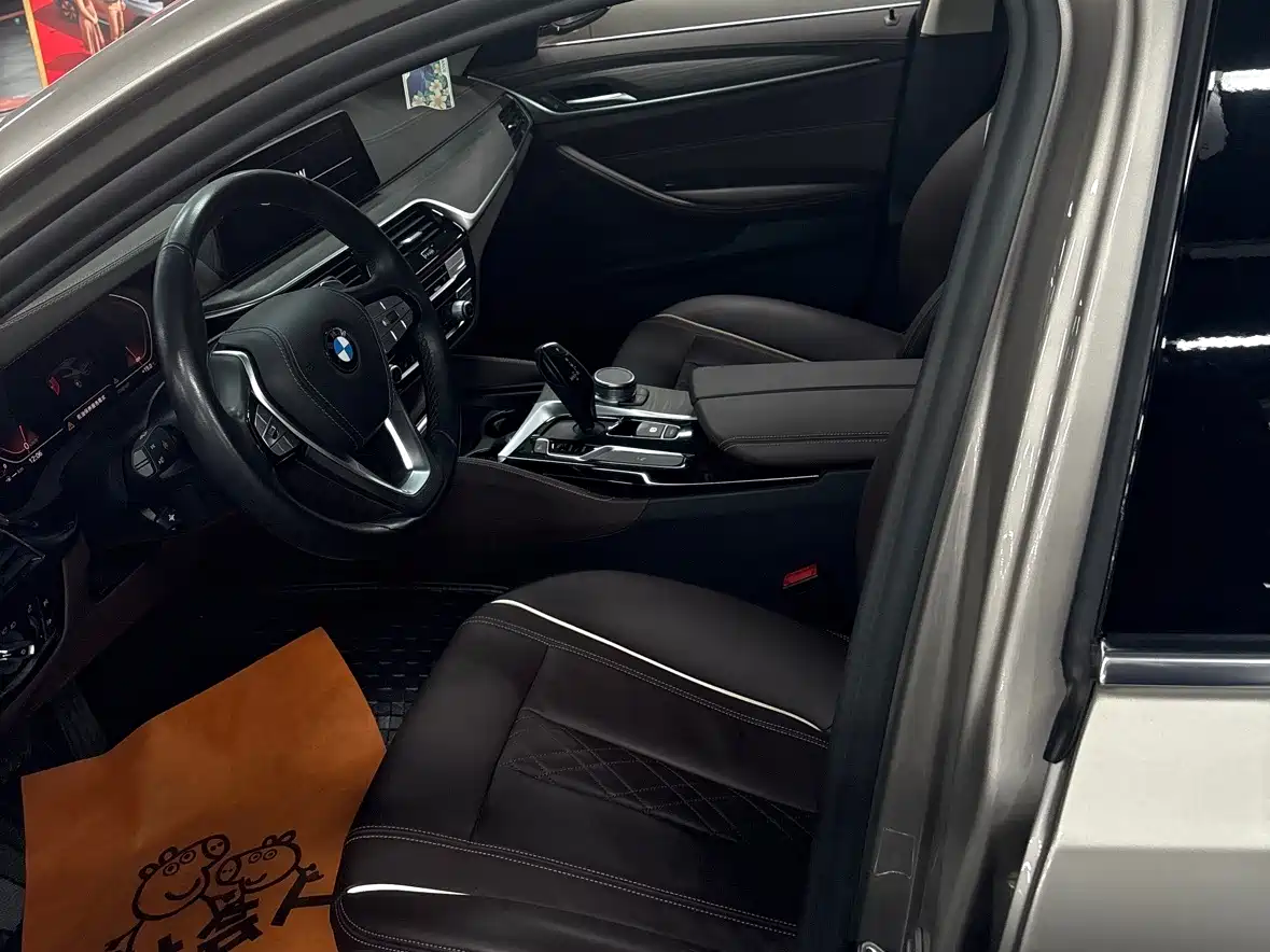 BMW 5 Series 2020 530Li xDrive Luxury Package фото 9