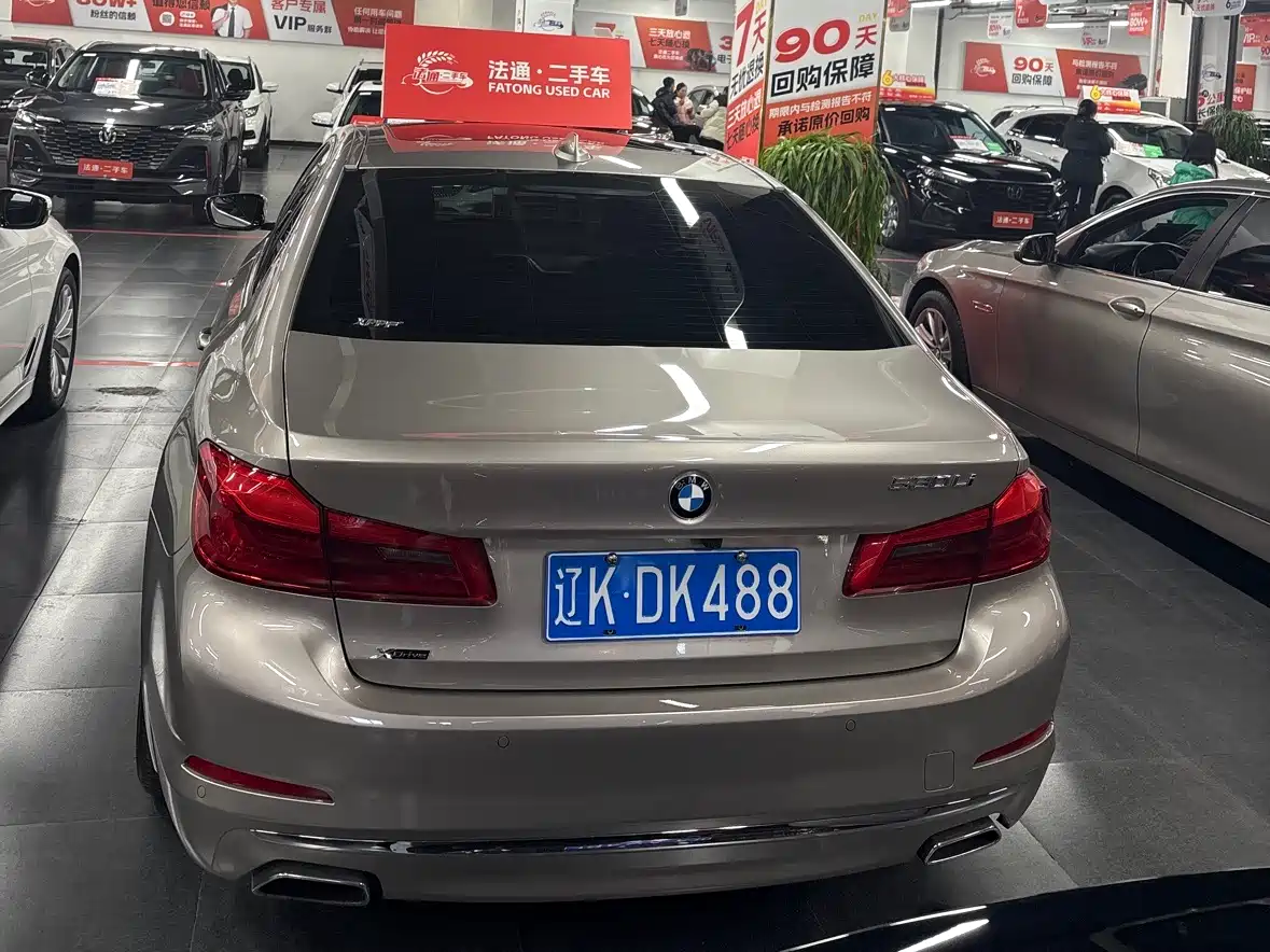 BMW 5 Series 2020 530Li xDrive Luxury Package фото 4