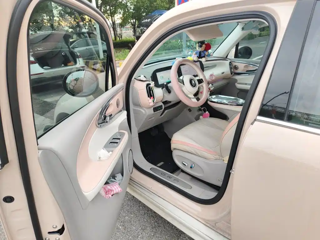 Ora Ballet Cat 2023 2023 401km Premium Model