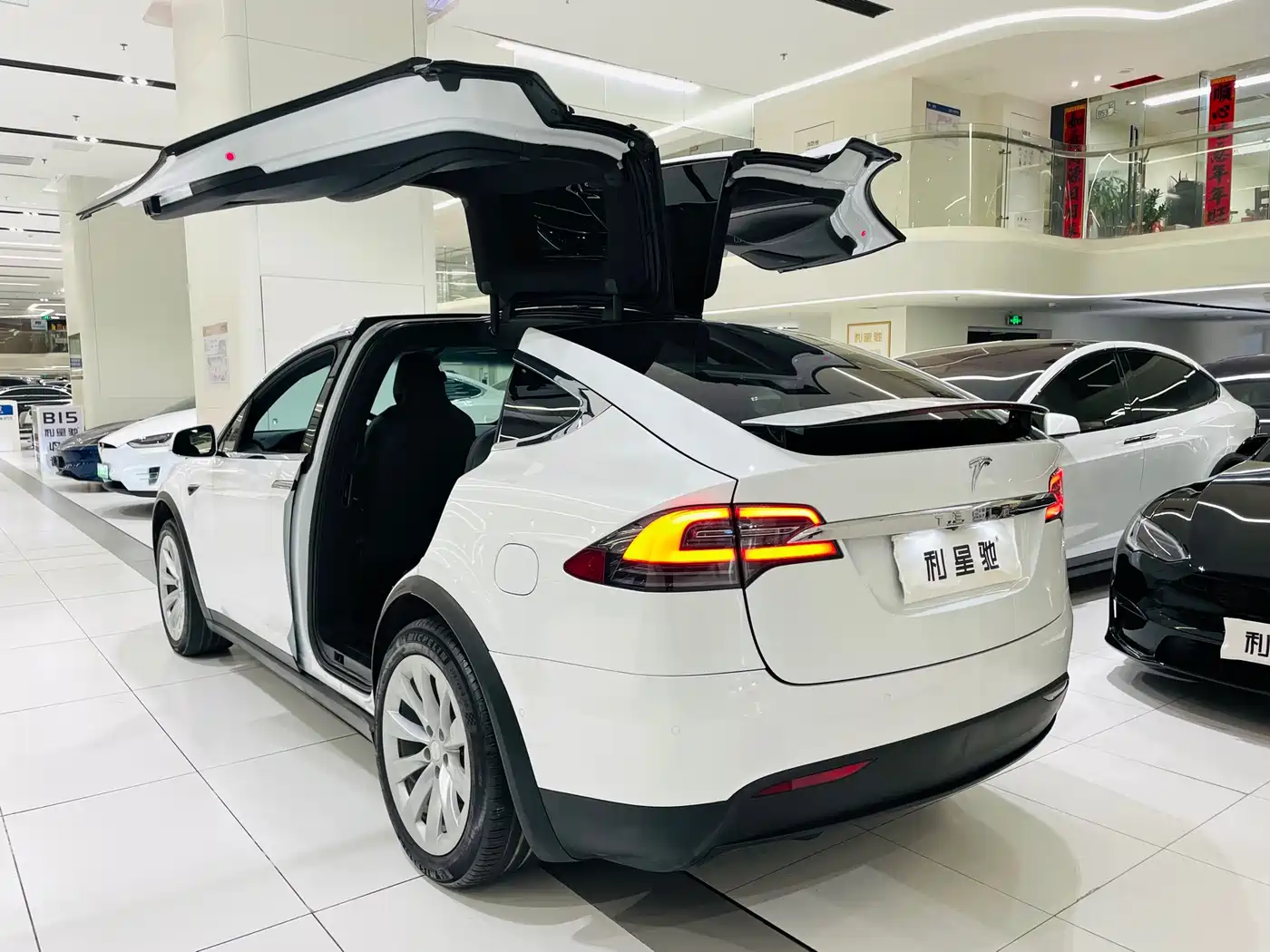 TESLA MODEL X