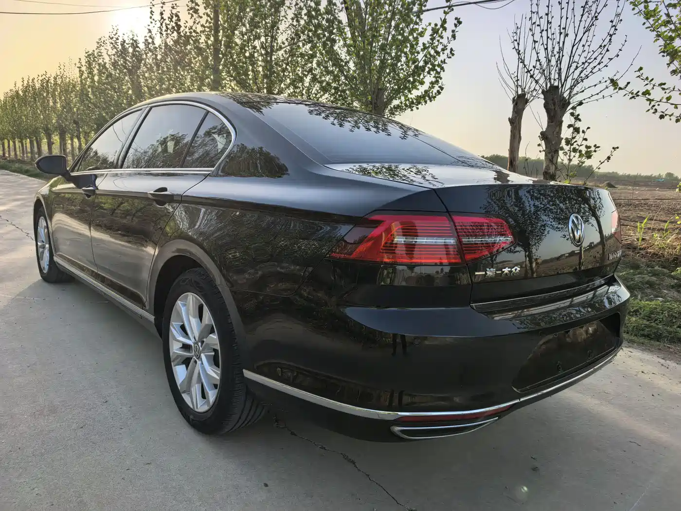 Volkswagen Magotan 2017 330TSI DSG Luxury фото 6