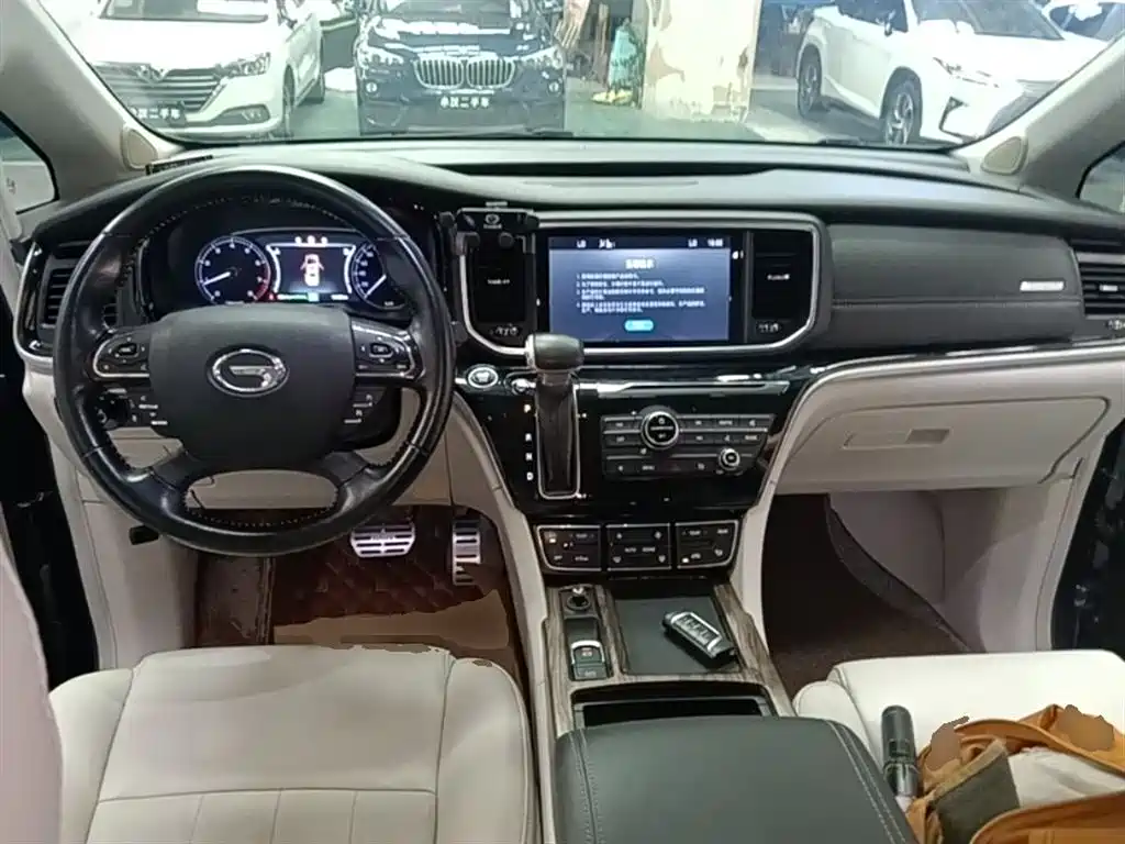 GAC Trumpchi Trumpchi M8 2018 320T Exclusive Edition фото 10