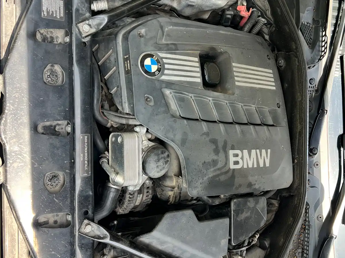 BMW 5 Series 2011 523Li Luxury фото 25