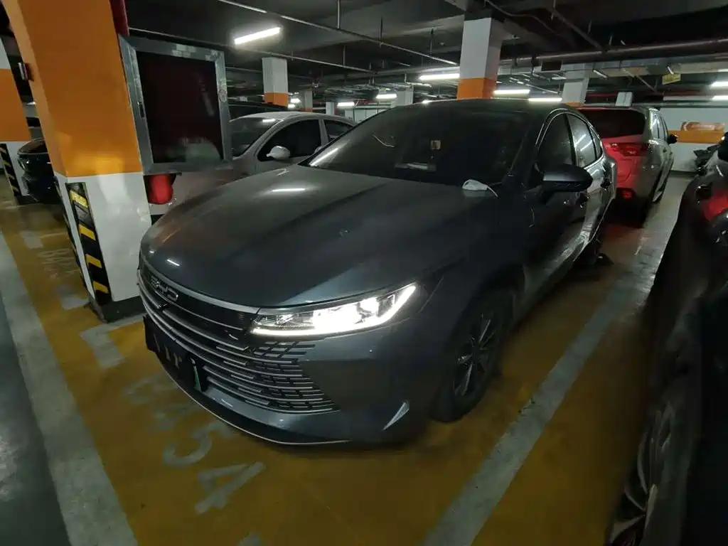BYD Destroyer 05 2024 Glory Edition DM-i 55KM Luxury